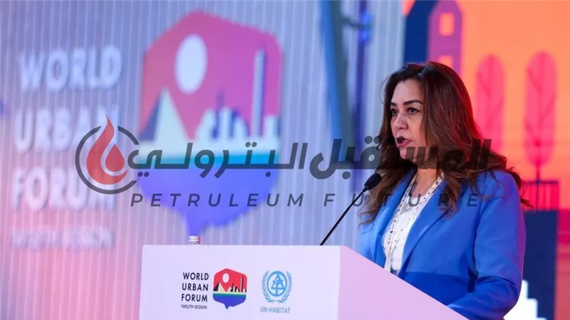 وزيرة التنمية المحلية : الدولة المصرية حريصة على دعم جهود التنمية المستدامة وتحقيق الأهداف الأممية