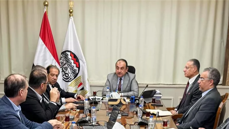 وزير قطاع الأعمال العام يلتقي وفدا من شركة 