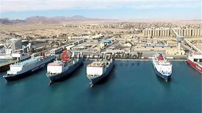 تداول 14 ألف طن و 714 شاحنة بضائع عامة بموانئ البحر الأحمر