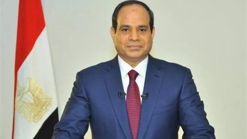 السيسي يوجه وزير البترول بتسريع توطين صناعة البتروكيماويات