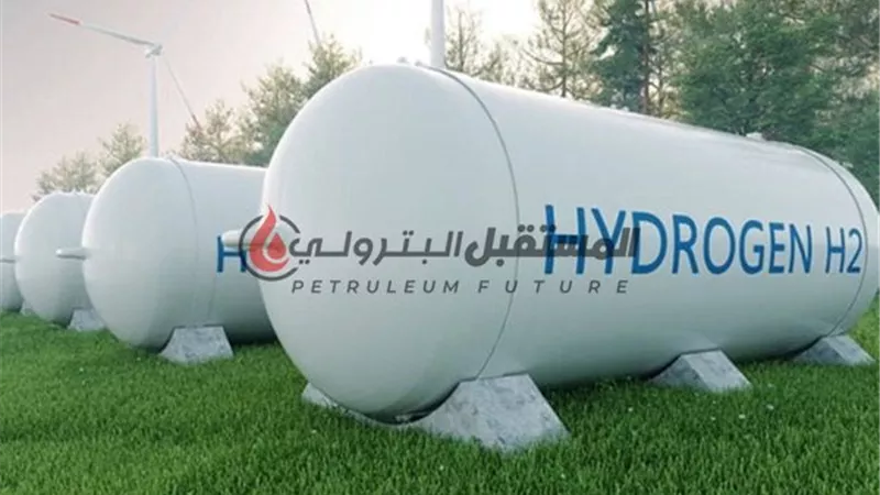 مصر تستهدف 15 مليار دولار استثمارات بمشروعات الهيدروجين الأخضر