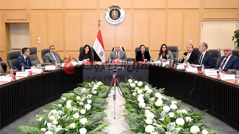 كامل الوزير يترأس الاجتماع الثاني عشر للمجموعة الوزارية للتنمية الصناعية