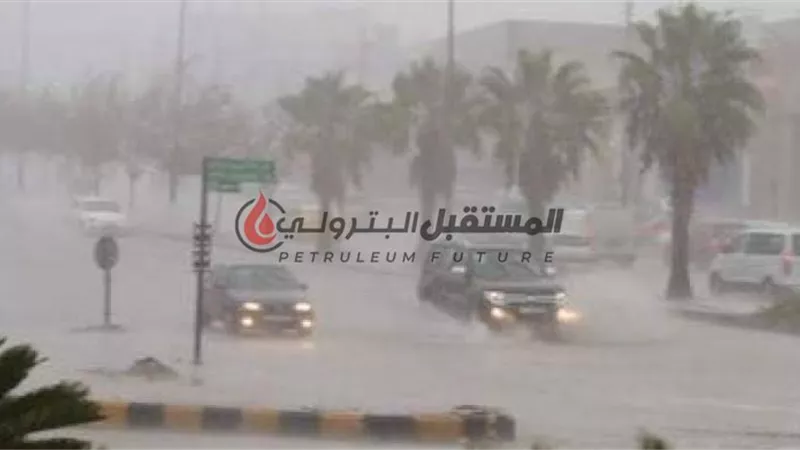 الأرصاد : الأمطار تضرب القاهرة اليوم و 15 محافظة .. تعرف على حالة الطقس