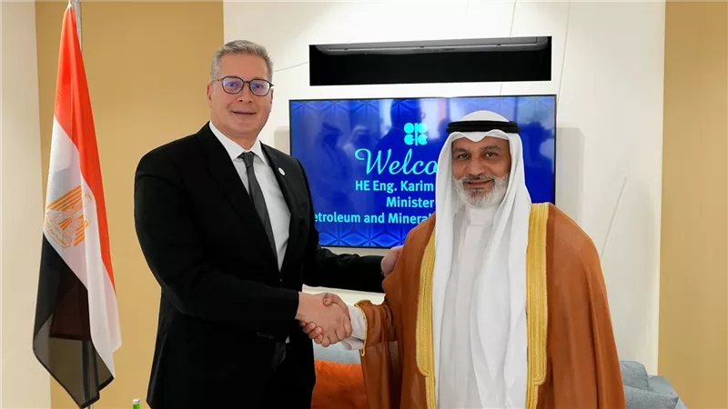 *وزير البترول يبحث مع الأمين العام لـ 