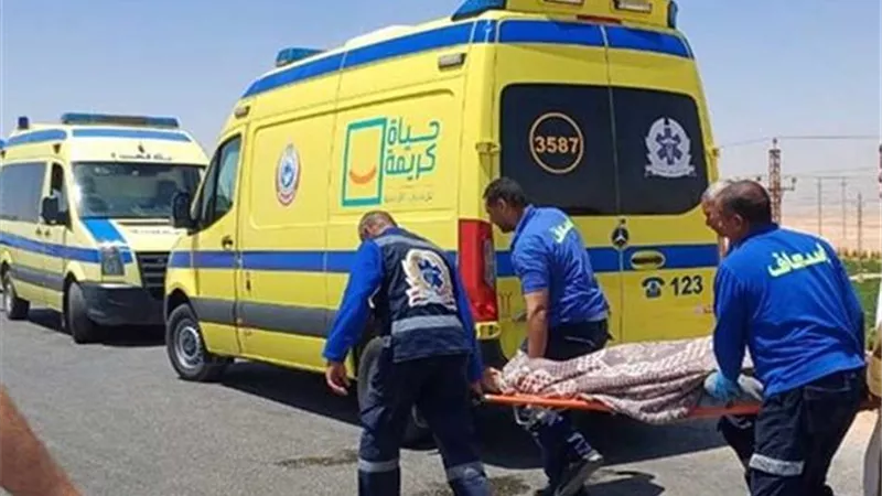 إصابة 22 سيدة في حادث انقلاب سيارة ربع نقل بالشرقية
