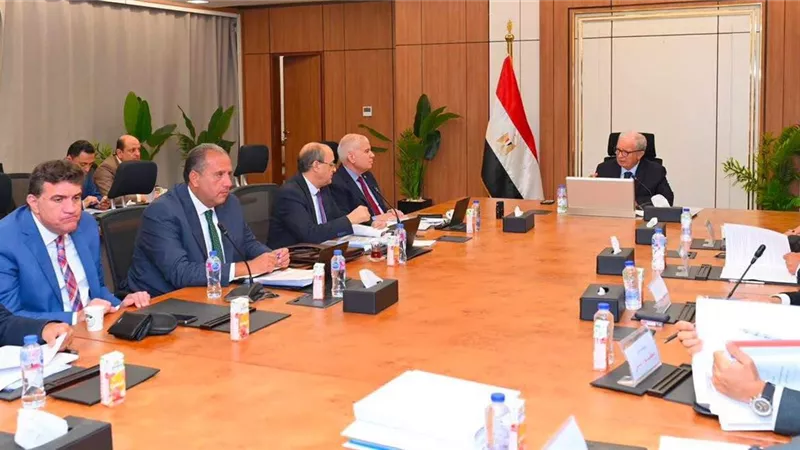 القابضة الكيماوية تستهدف 30 مليار جنيه إيرادات و8.9 مليار صافي ربح
