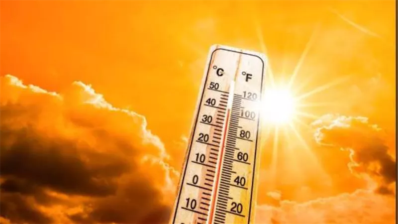الطقس اليوم شديد الحرارة نهارا وشبورة كثيفة صباحا 